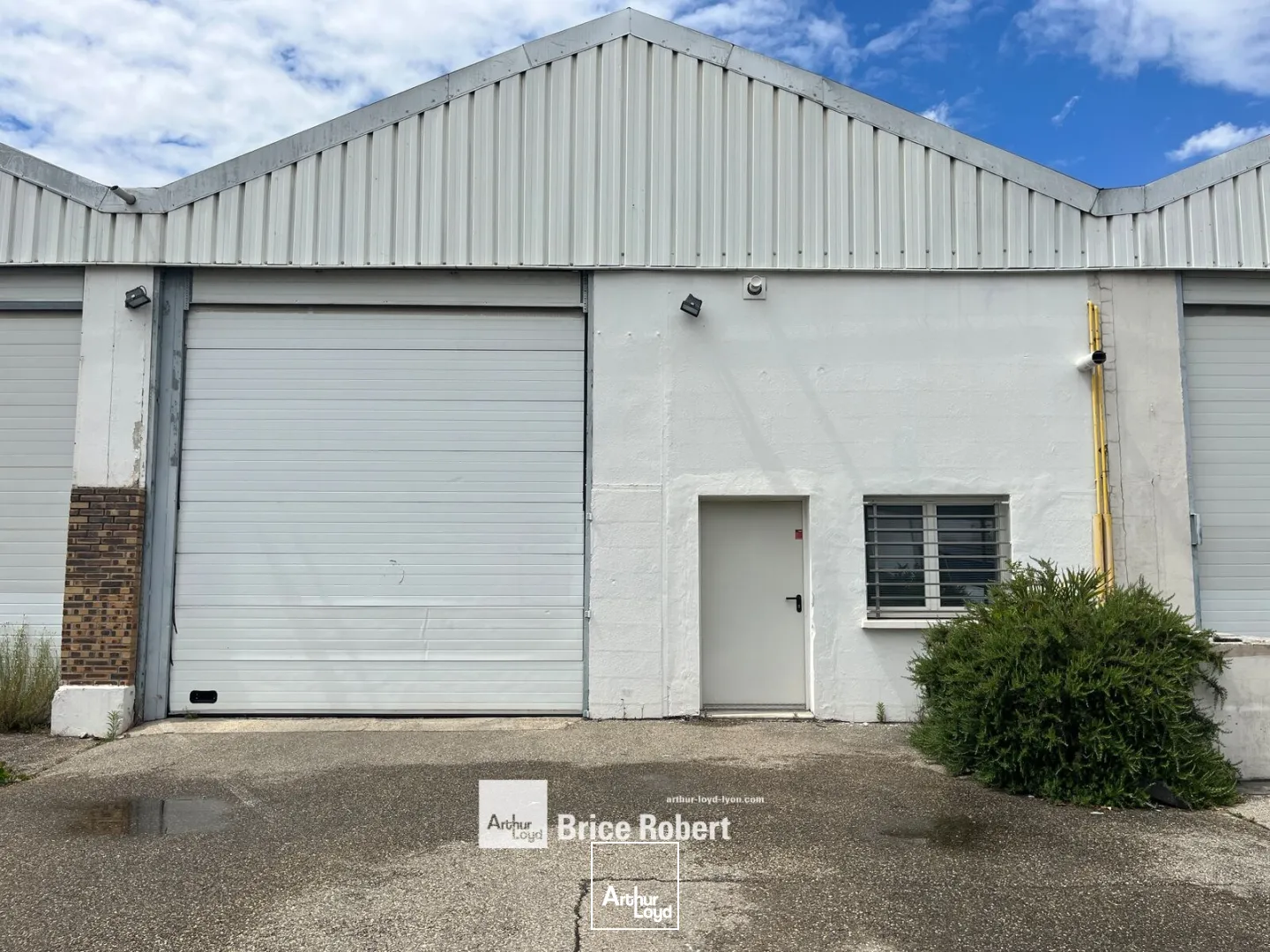 Locaux d'activité & Entrepôts - Location - VENISSIEUX - 69200 - 170-1431 - 7896696