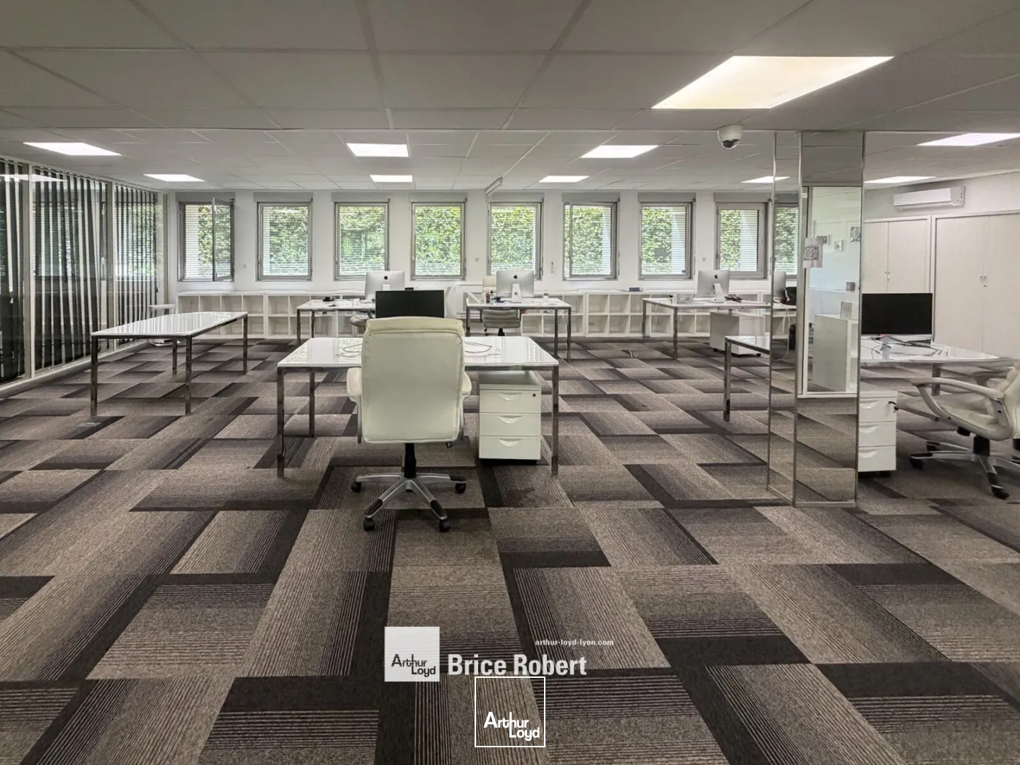 Bureaux - Vente - ECULLY - 69130 - 217-217 - 7896819