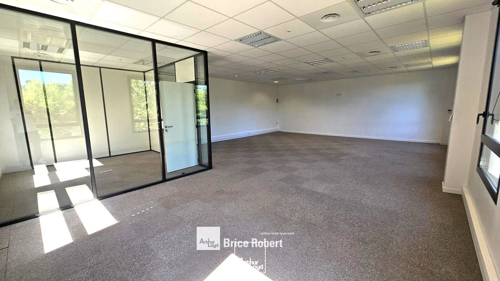 Bureaux - Location - LIMONEST - 69760 - 243-603.7 - 7896870