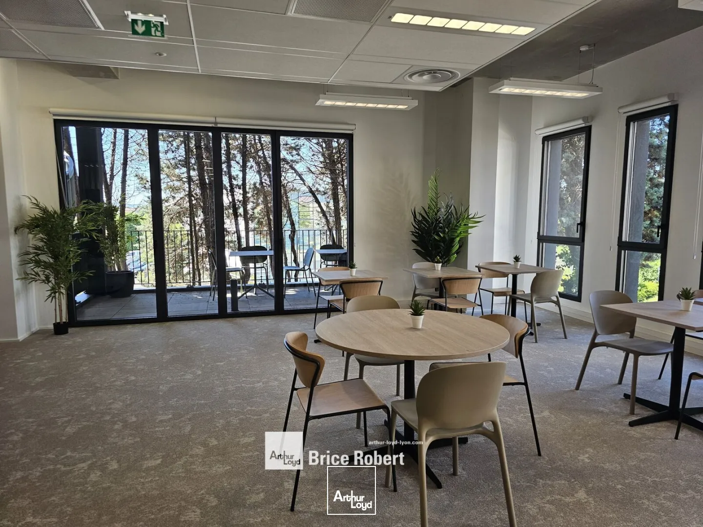 Bureaux - Location - DARDILLY - 69570 - 294-294 - 7896879