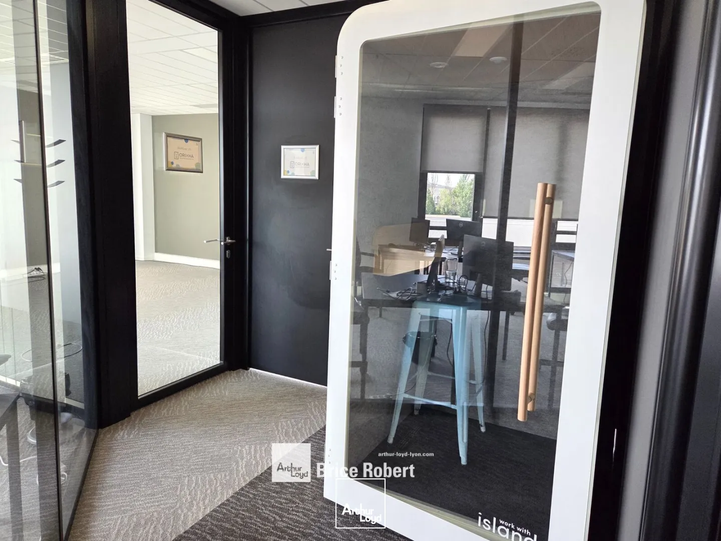 Bureaux - Location - LYON - 69009 - 194.82-194.82 - 7896882