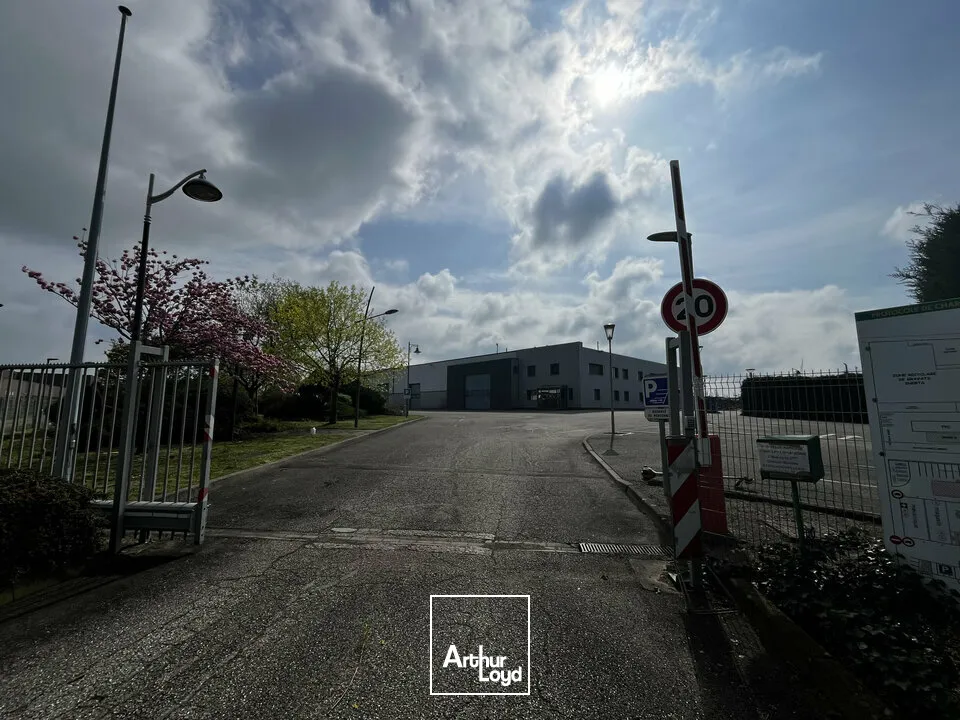 Locaux d'activité & Entrepôts - Vente - IMBSHEIM - 67330 - 1925-1925 - 7896985