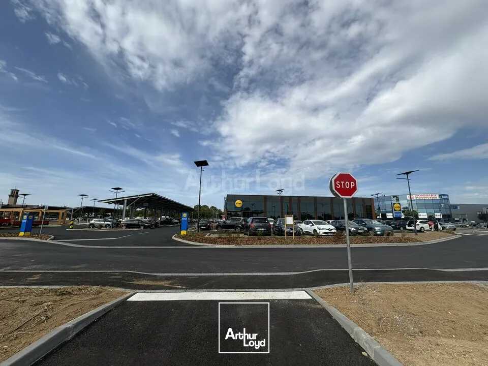 Locaux commerciaux - Location - LAMPERTHEIM - 67450 - 636-636 - 7896983