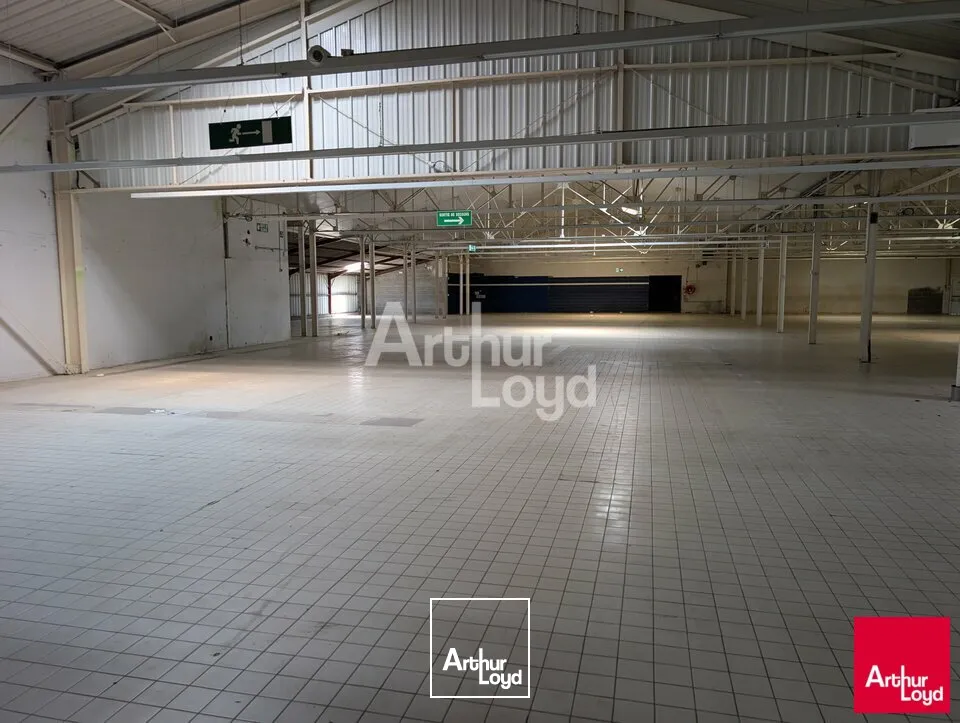Locaux d'activité & Entrepôts - Location - LE RHEU - 35650 - 1000-2975 - 7897047