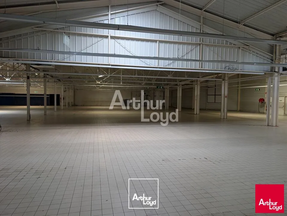 Locaux d'activité & Entrepôts - Location - LE RHEU - 35650 - 1000-2975 - 7897046