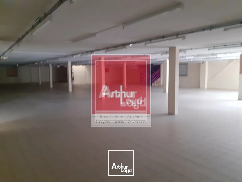 Locaux d'activité & Entrepôts - Vente - SAINTE SAVINE - 10300 - 1000-1000 - 7897075