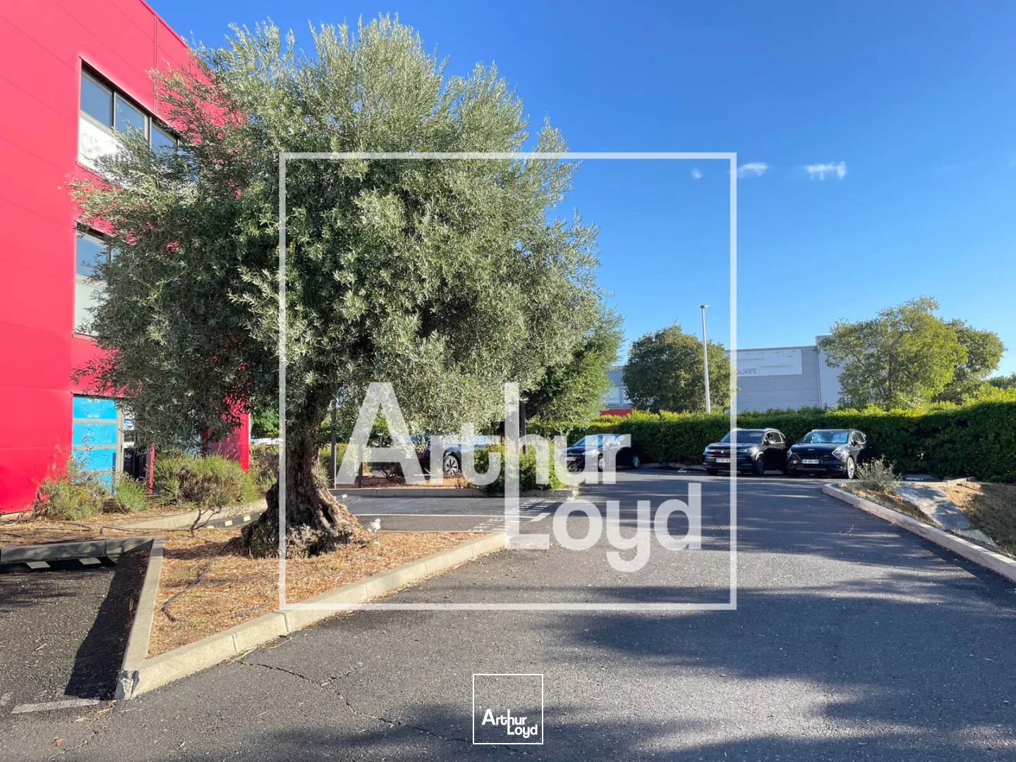 Bureaux - Location - MONTPELLIER - 34070 - 102-102 - 7897138