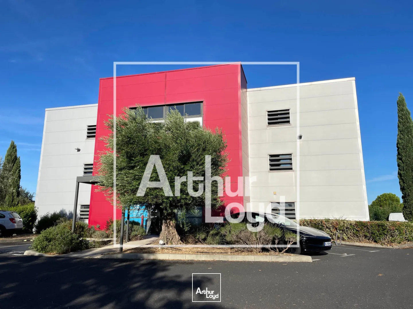 Bureaux - Location - MONTPELLIER - 34070 - 102-102 - 7897137