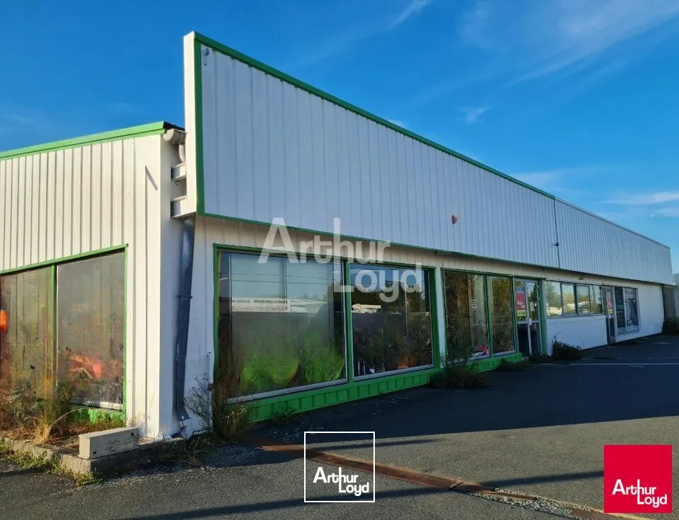 Locaux d'activité & Entrepôts - Location - CHÂTEAUROUX - 36000 - 1056-1056 - 7897828