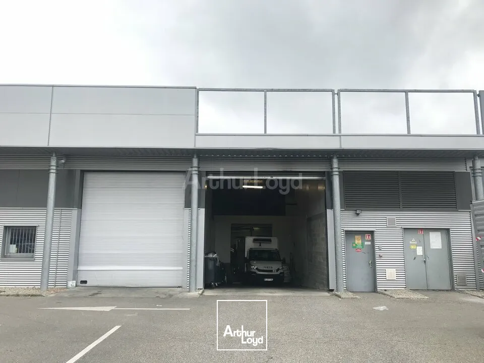 Locaux d'activité & Entrepôts - Location - SAUSHEIM - 68390 - 270-270 - 7897878