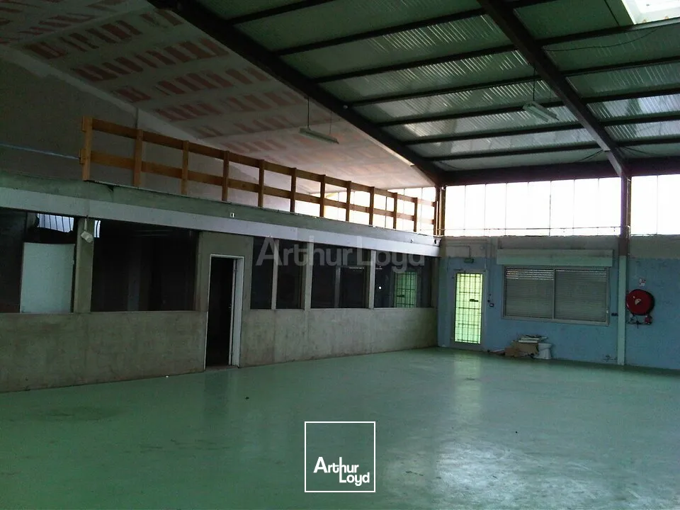 Locaux d'activité & Entrepôts - Location - SAUSHEIM - 68390 - 270-270 - 7897879