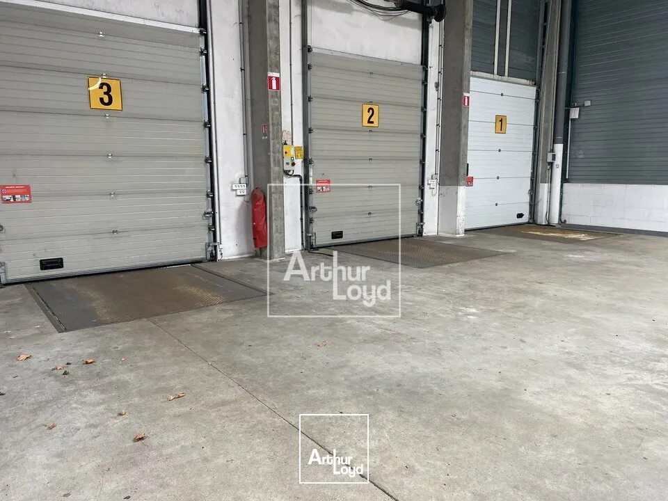Locaux d'activité & Entrepôts - Location - LISSES - 91090 - 3167-3167 - 7897936