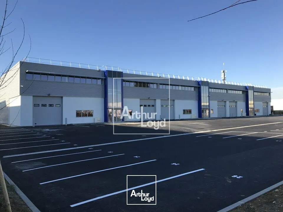 Locaux d'activité & Entrepôts - Location - BRETIGNY SUR ORGE - 91220 - 450-450 - 7897945