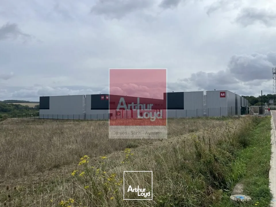 Locaux d'activité & Entrepôts - Location - AUXERRE - 89000 - 342-342 - 7898025