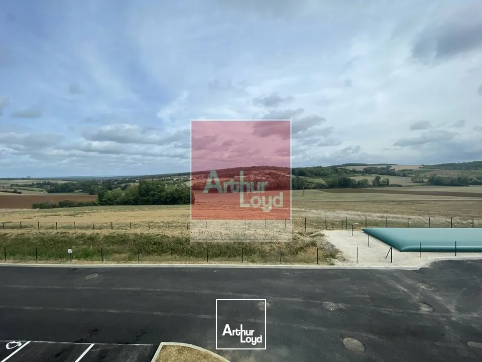 Locaux d'activité & Entrepôts - Location - AUXERRE - 89000 - 342-342 - 7898030