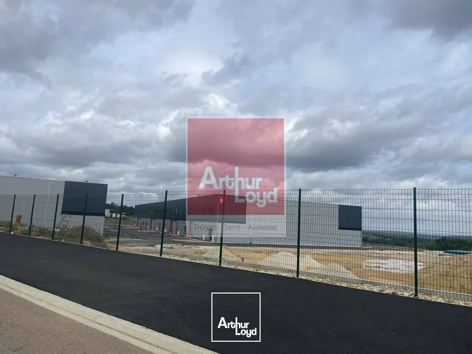 Locaux d'activité & Entrepôts - Location - AUXERRE - 89000 - 342-342 - 7898031