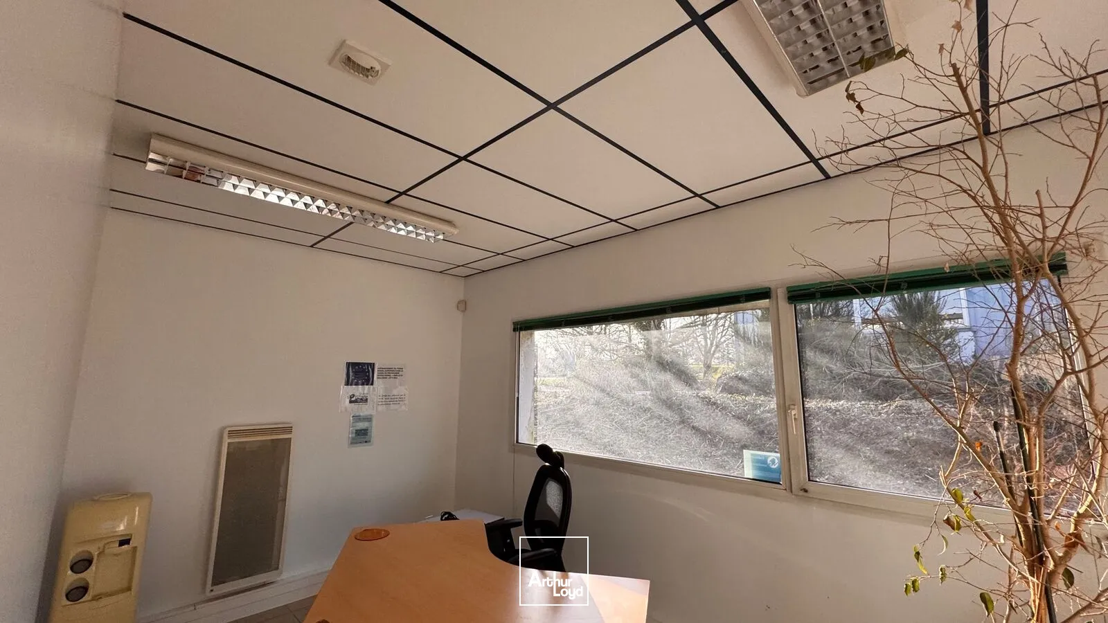 Locaux d'activité & Entrepôts - Vente - QUIMPER - 29000 - 1395-1395 - 7898240