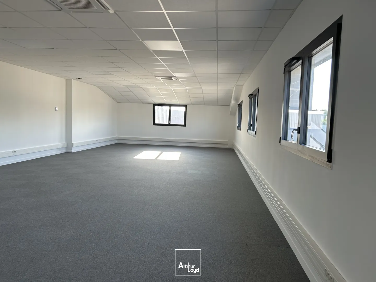 Locaux d'activité & Entrepôts - Location - COUERON - 44220 - 2600-2600 - 7898463