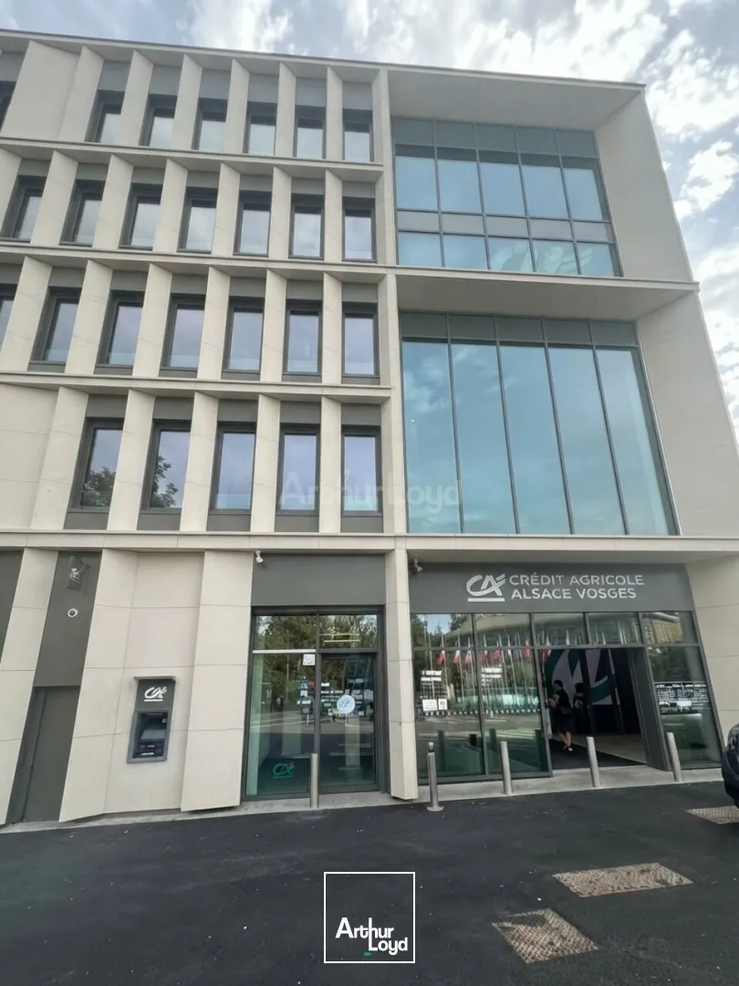 Bureaux - Location - STRASBOURG - 67000 - 361-2841 - 7898920
