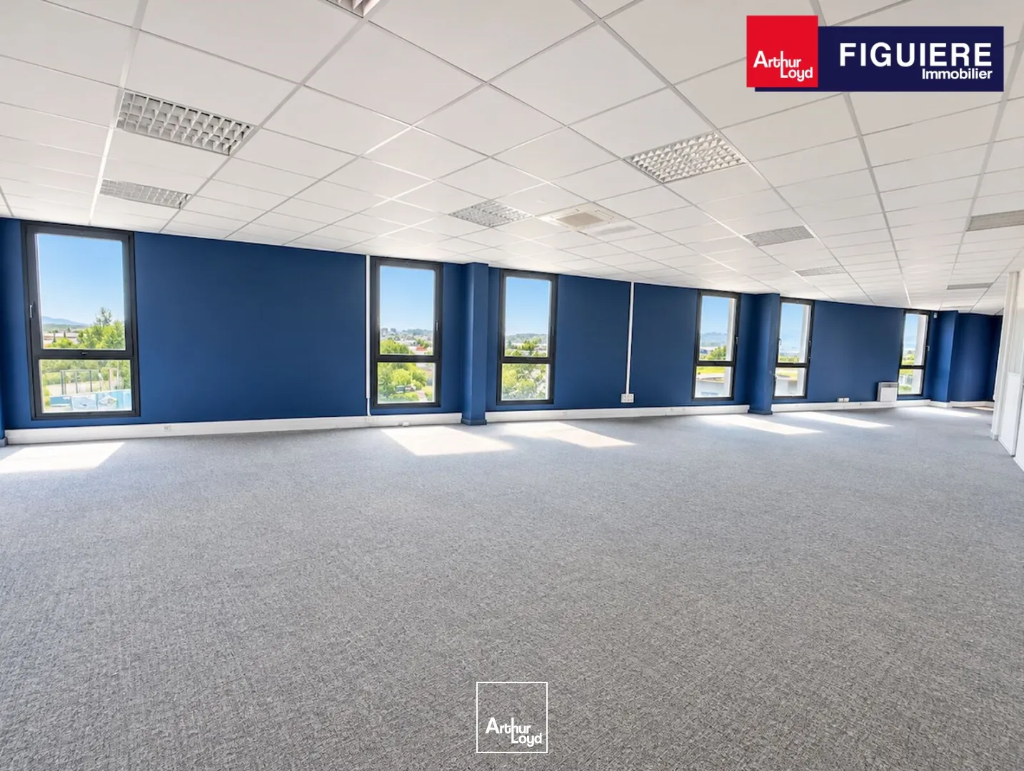 Bureaux - Vente - AIX EN PROVENCE - 13290 - 223-223 - 7899071