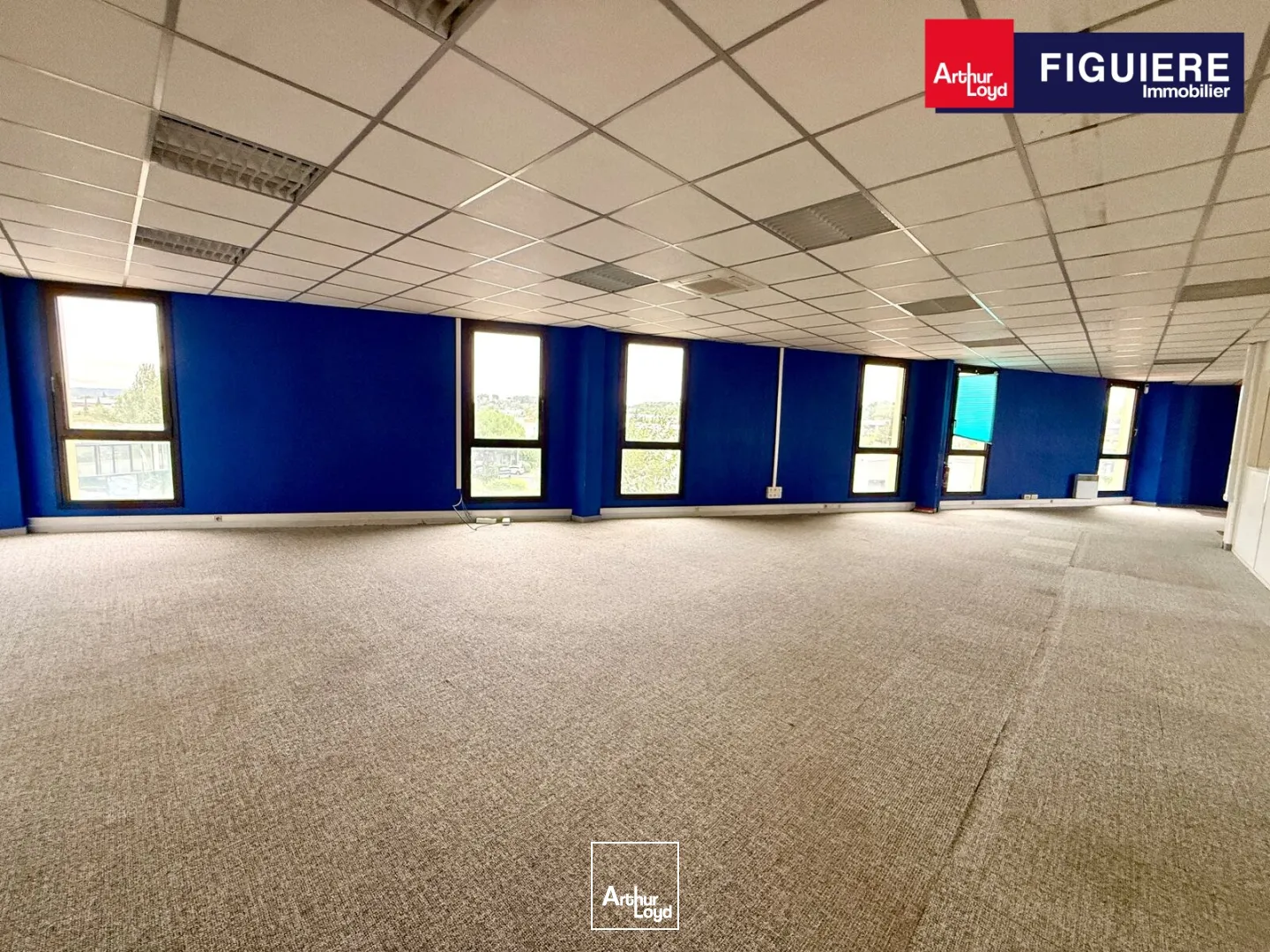 Bureaux - Vente - AIX EN PROVENCE - 13290 - 223-223 - 7899077