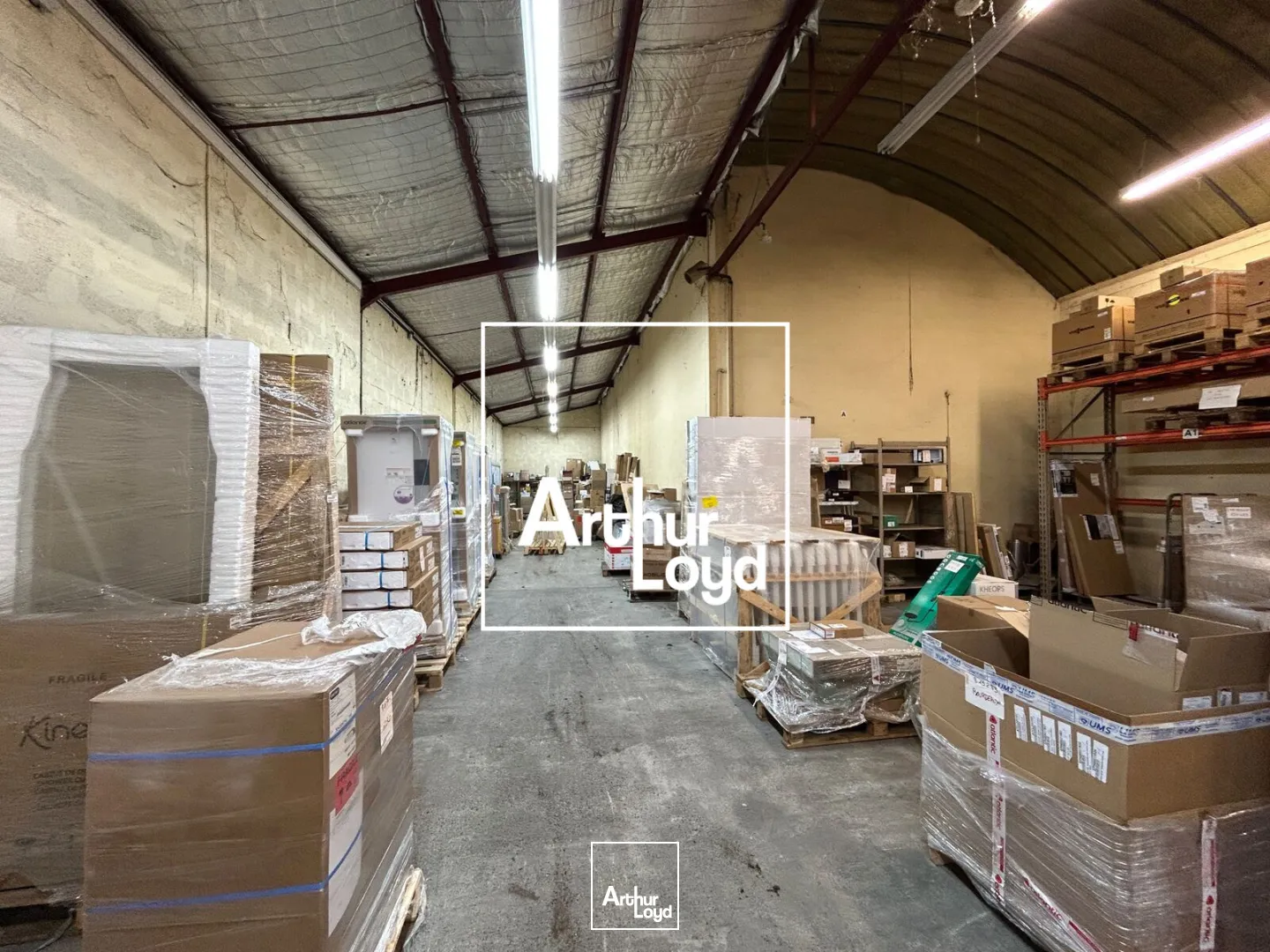 Locaux d'activité & Entrepôts - Location - LESPINASSE - 31150 - 4268-4268 - 7899622