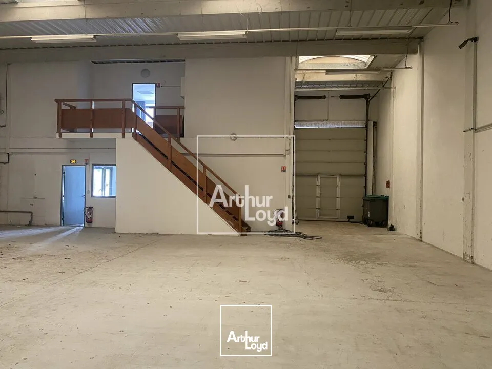Locaux d'activité & Entrepôts - Location - MOISSY-CRAMAYEL - 77550 - 300-300 - 7899922