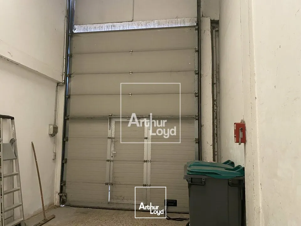 Locaux d'activité & Entrepôts - Location - MOISSY-CRAMAYEL - 77550 - 300-300 - 7899923