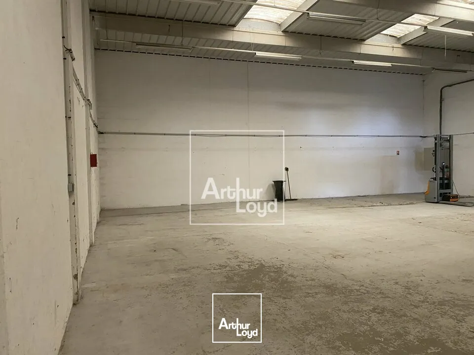 Locaux d'activité & Entrepôts - Location - MOISSY-CRAMAYEL - 77550 - 300-300 - 7899925