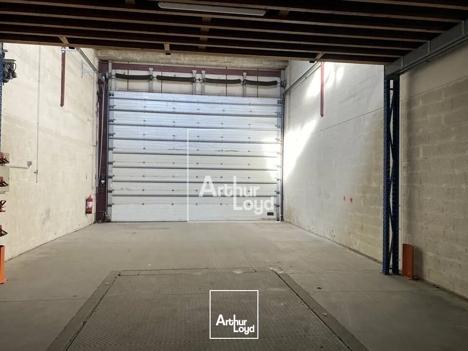 Locaux d'activité & Entrepôts - Location - MOISSY CRAMAYEL - 77550 - 2744-2744 - 7899931