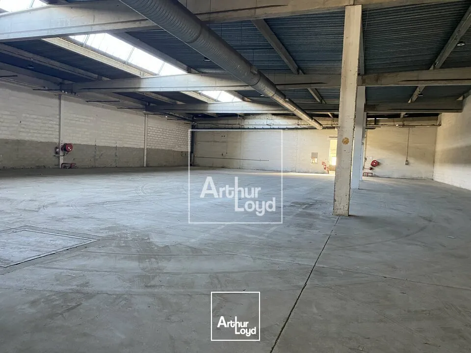 Locaux d'activité & Entrepôts - Location - MOISSY CRAMAYEL - 77550 - 2744-2744 - 7899934
