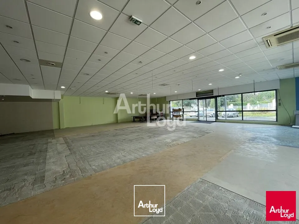 Locaux d'activité & Entrepôts - Location - SAINT BARTHELEMY D'ANJOU - 49124 - 290-290 - 7900155