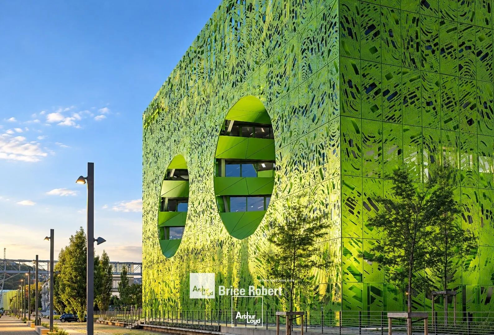 Bureaux - Location - LYON - 69002 - 876.8-9142.9 - 7900818