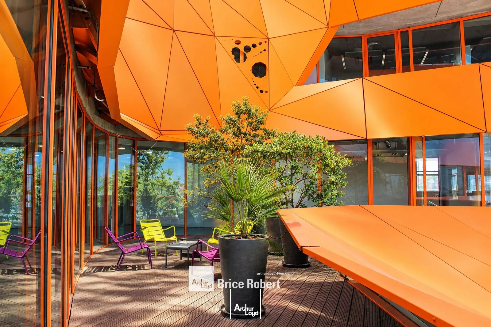 Bureaux - Location - LYON - 69002 - 326-2338 - 7900835