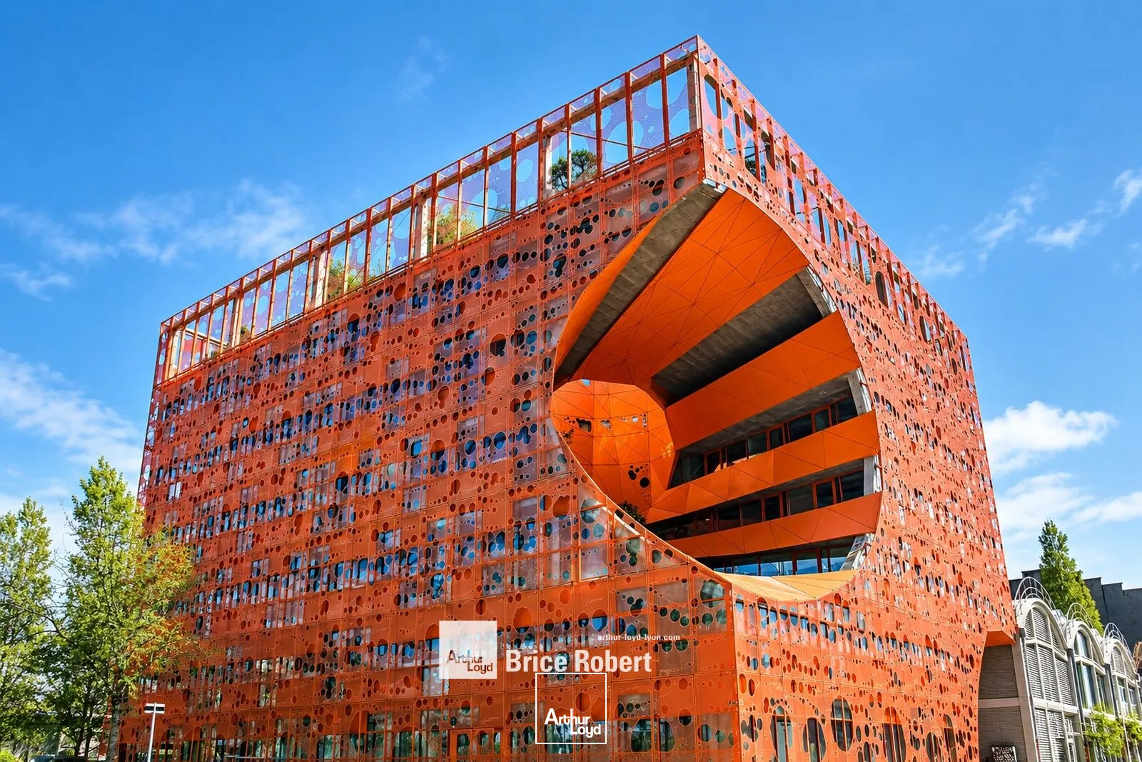 Bureaux - Location - LYON - 69002 - 326-2338 - 7900833