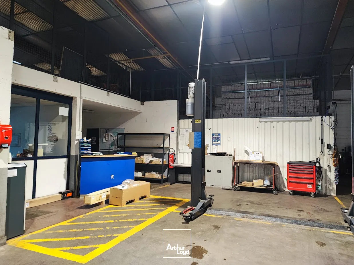 Locaux commerciaux - Location - LIMOGES - 87000 - 1600-1600 - 7900914