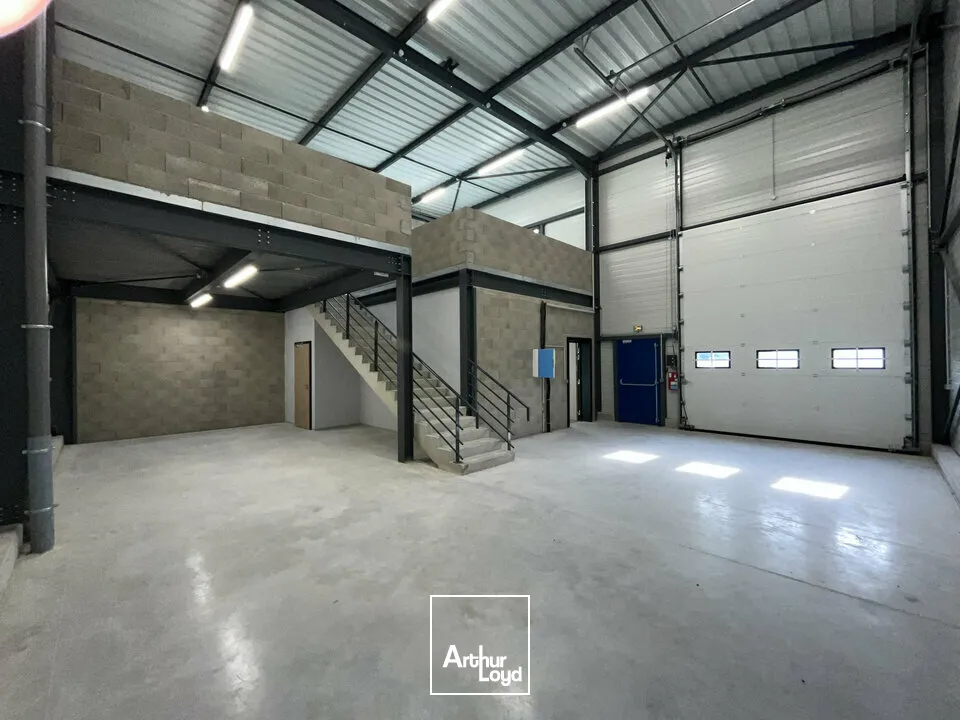 Locaux d'activité & Entrepôts - Location - ILLKIRCH GRAFFENSTADEN - 67400 - 189-189 - 7903043
