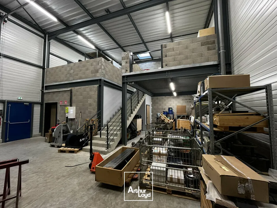 Locaux d'activité & Entrepôts - Location - ILLKIRCH GRAFFENSTADEN - 67400 - 189-189 - 7903047