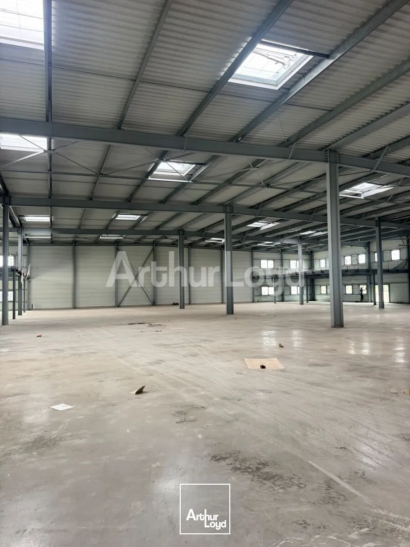 Locaux d'activité & Entrepôts - Location - WASQUEHAL - 59290 - 690-5520 - 7903624
