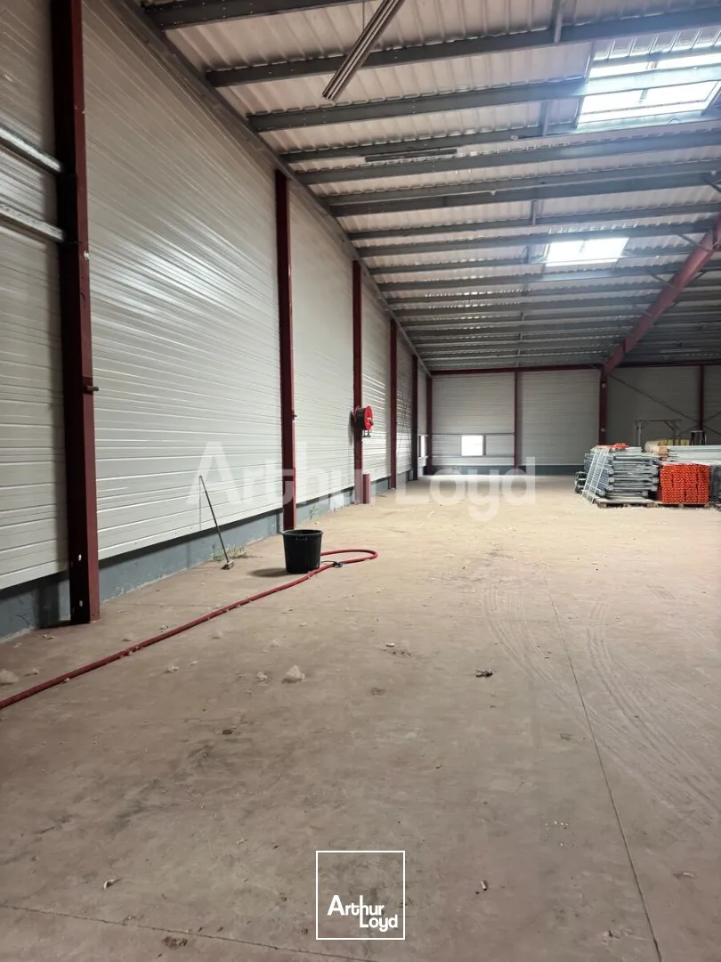 Locaux d'activité & Entrepôts - Location - WASQUEHAL - 59290 - 1450-1450 - 7903658