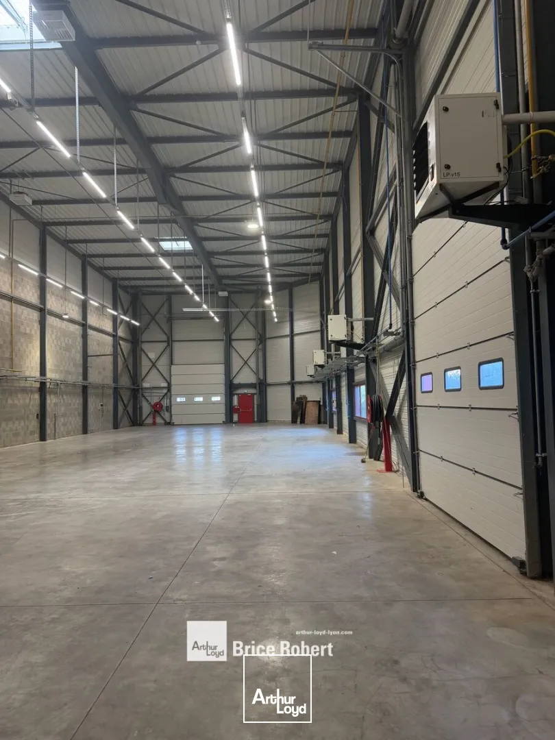 Locaux d'activité & Entrepôts - Location - DAGNEUX - 01120 - 564-564 - 7903786
