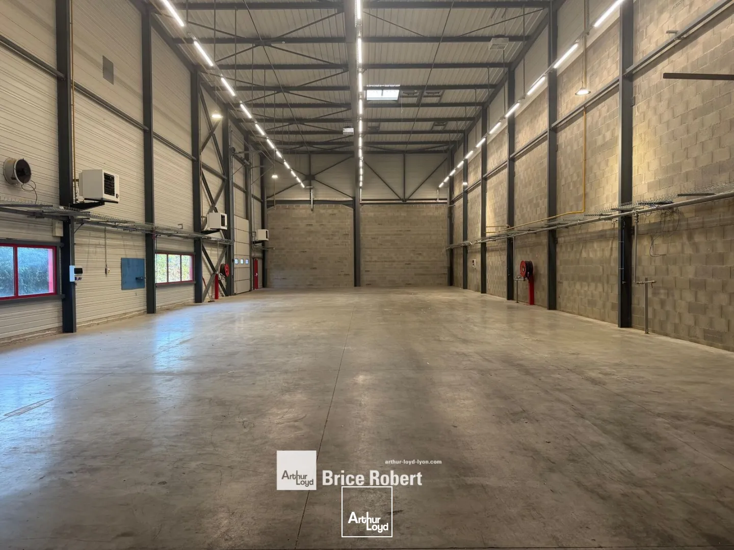 Locaux d'activité & Entrepôts - Location - DAGNEUX - 01120 - 564-564 - 7903787
