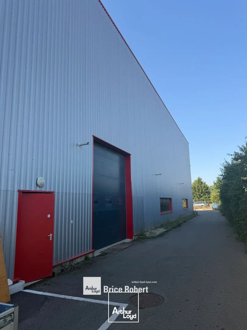 Locaux d'activité & Entrepôts - Location - DAGNEUX - 01120 - 564-564 - 7903789