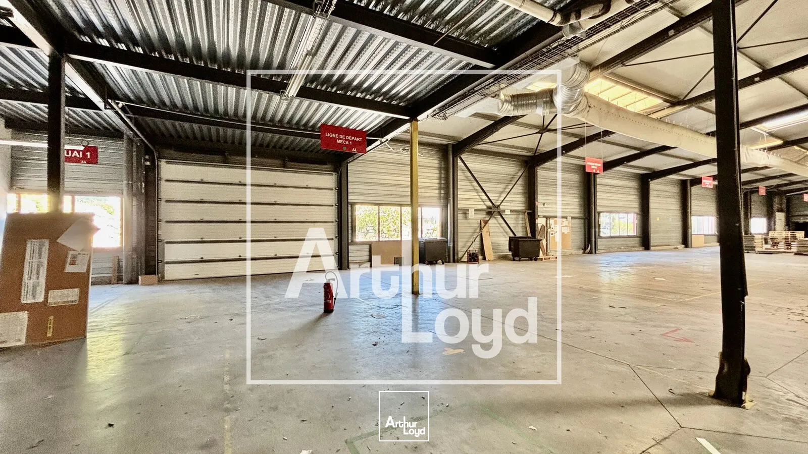Locaux d'activité & Entrepôts - Vente - JACOU - 34830 - 3832-3832 - 7904087