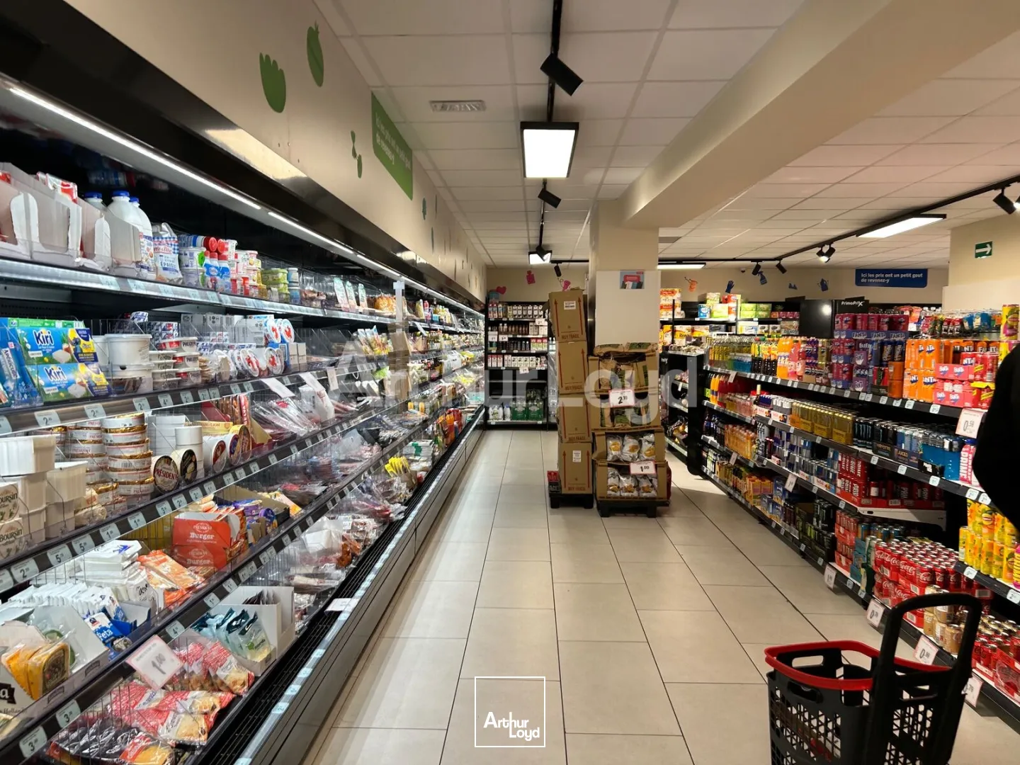 Locaux commerciaux - Location - LILLE - 59000 - 495-495 - 7904618