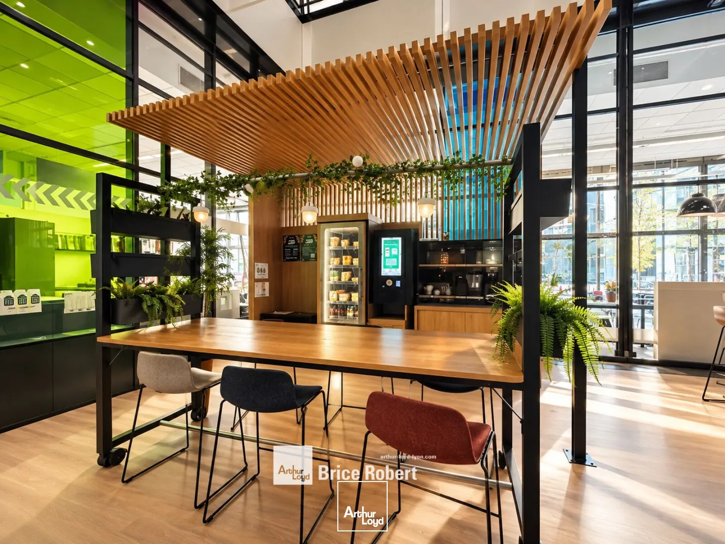 Bureaux - Location - LYON - 69007 - 300-1155 - 7904730