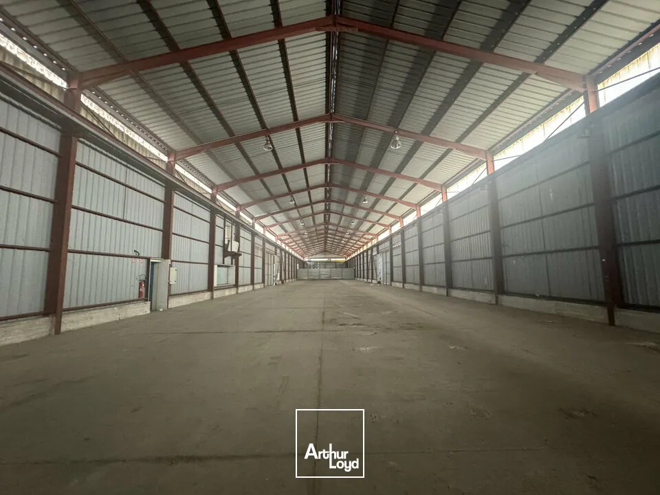 Locaux d'activité & Entrepôts - Location - AVIGNON - 84000 - 1410-1410 - 7904886
