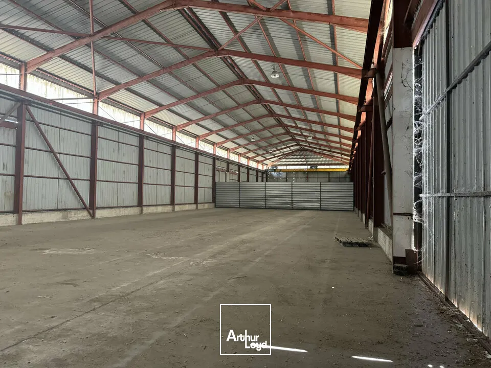 Locaux d'activité & Entrepôts - Location - AVIGNON - 84000 - 1410-1410 - 7904887