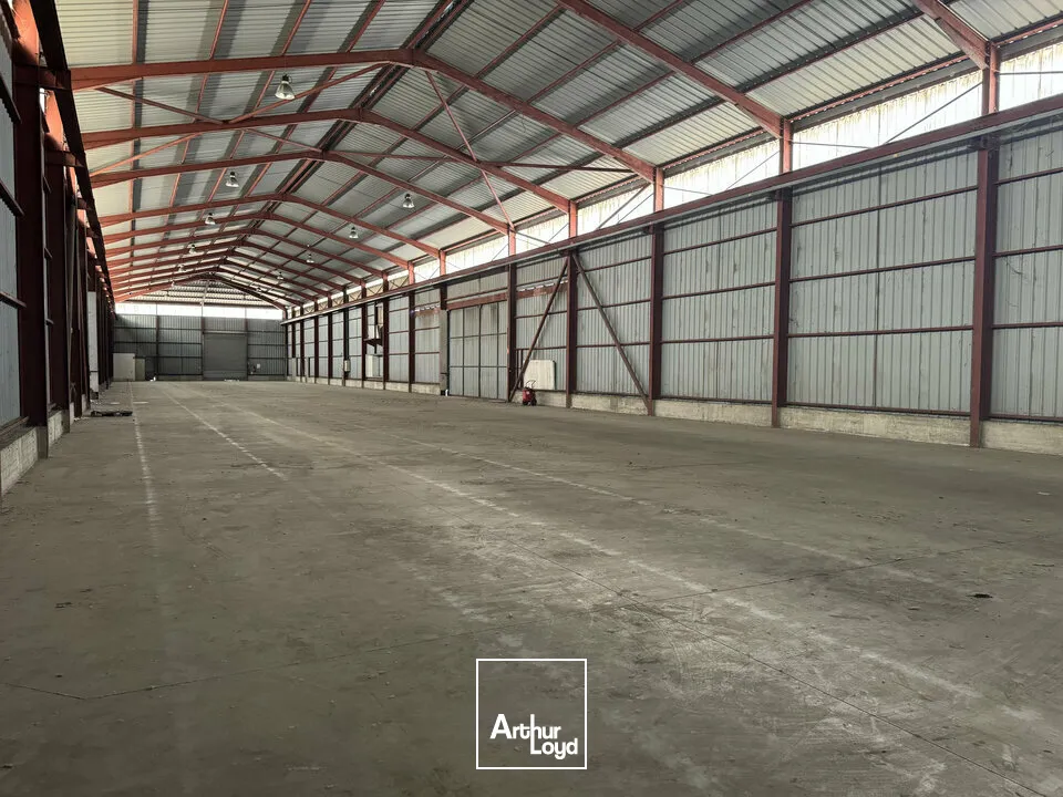 Locaux d'activité & Entrepôts - Location - AVIGNON - 84000 - 1410-1410 - 7904888