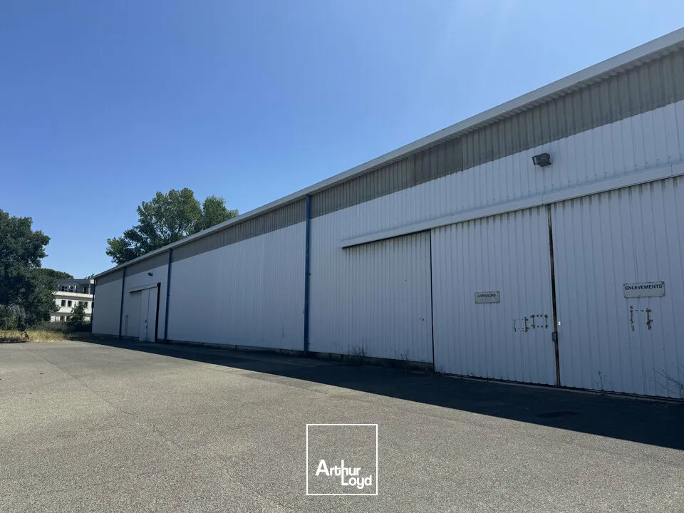 Locaux d'activité & Entrepôts - Location - AVIGNON - 84000 - 1410-1410 - 7904885